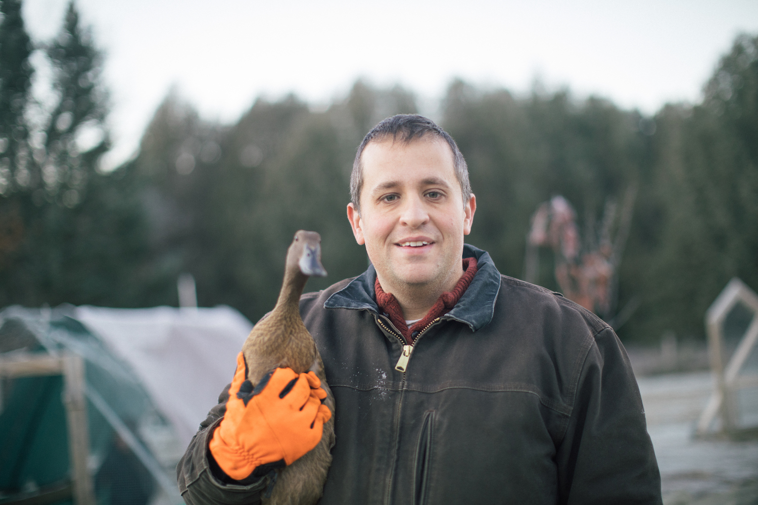 farmer morgan gold becomes social media famous for posting his animals